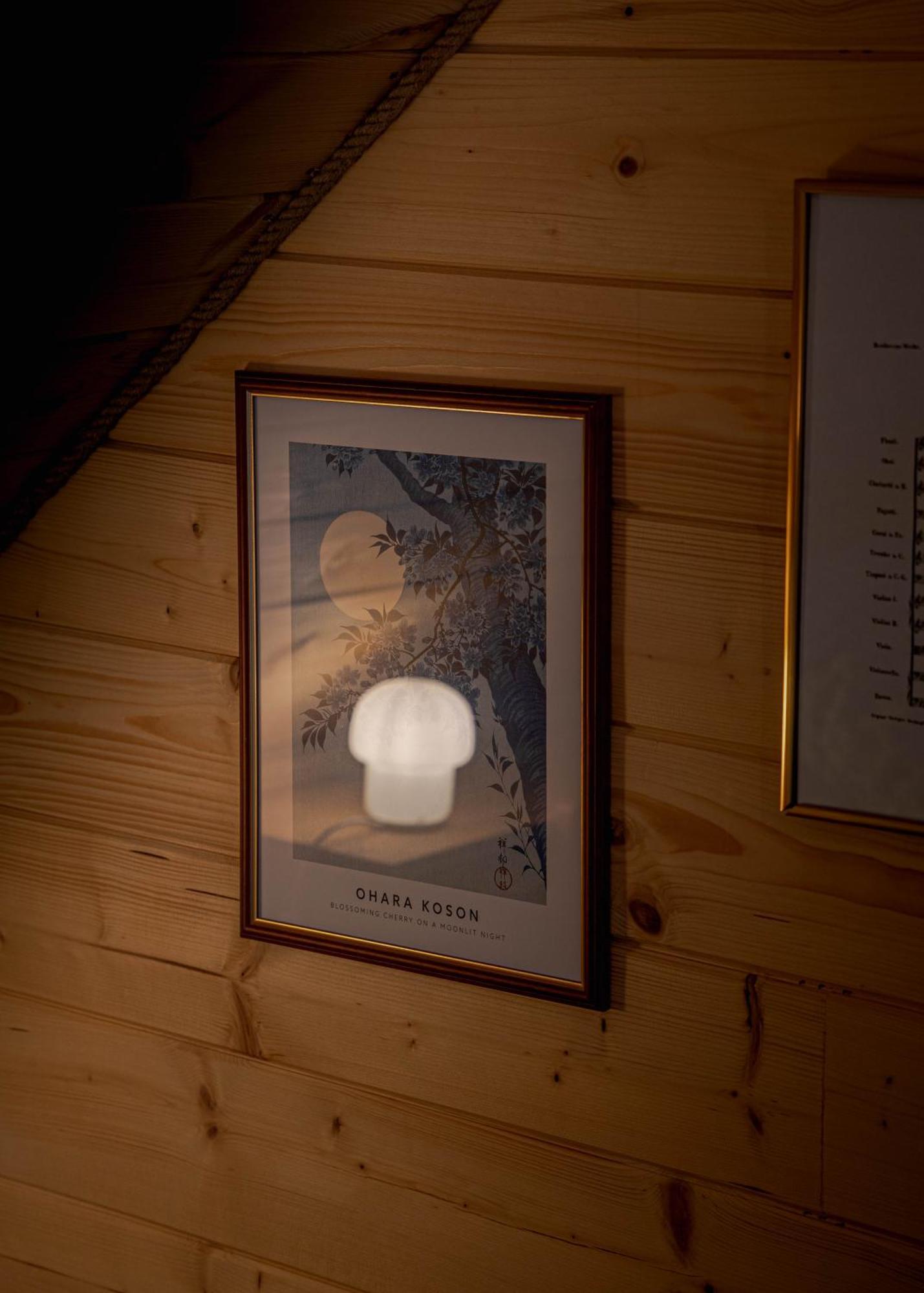 Jarzebinowa - Dom Do Wynajecia Na Podlasiu Luka Eksteriør bilde